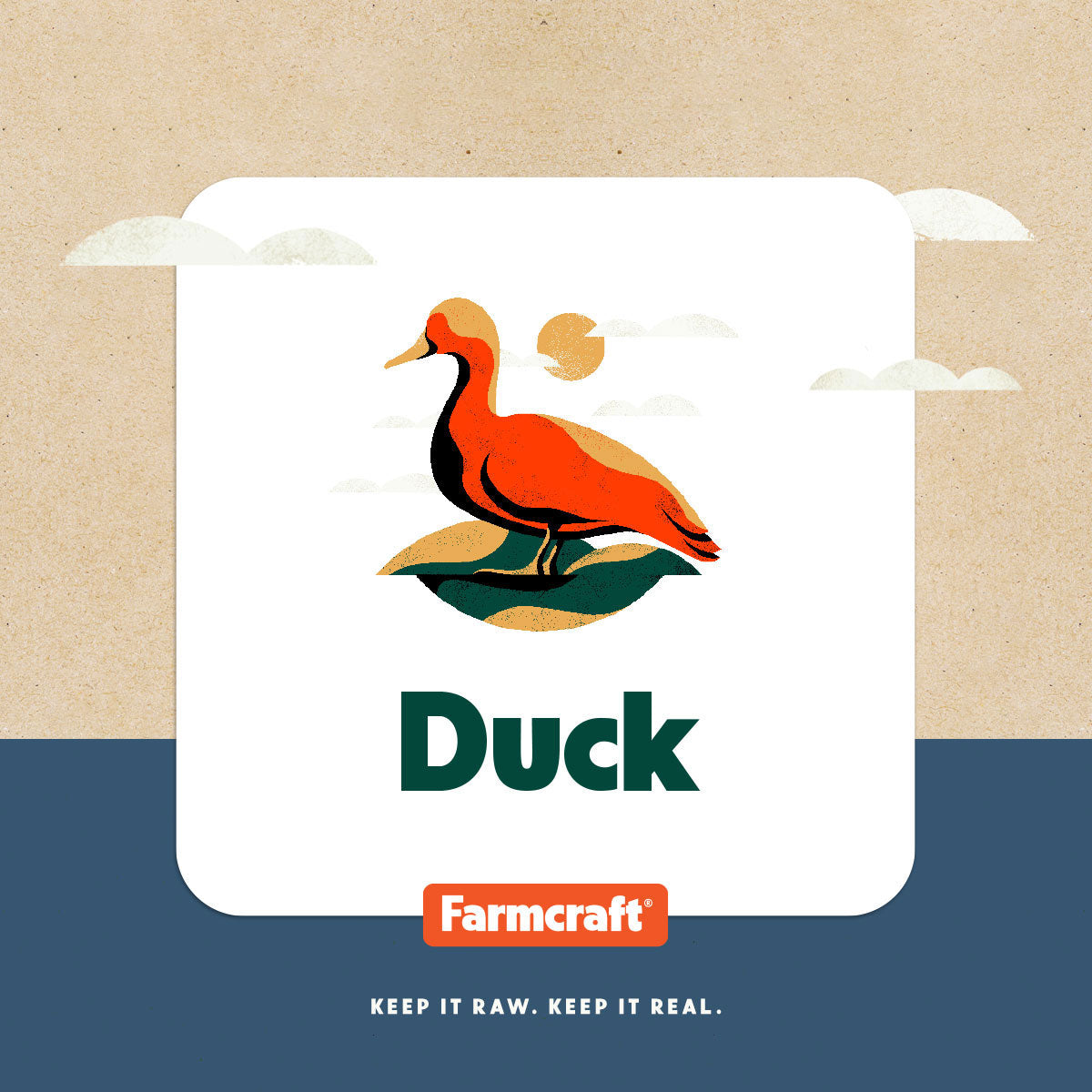 Duck